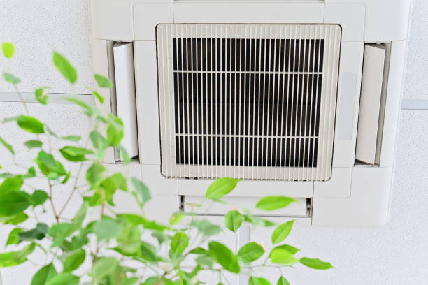 Ventilation Cleaning Services in Peosta, IA